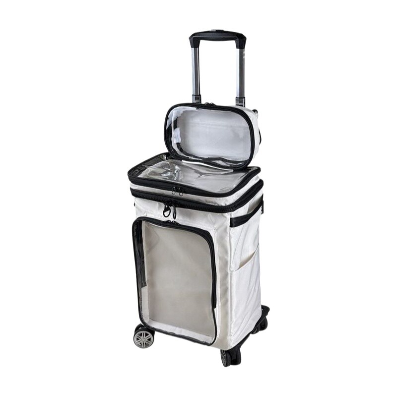 Equipaje transparente de dibuj - Travel Packing Cube reseña y precio